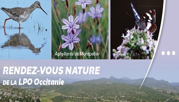 Prenez de bonnes résolutions en faveur de la biodiversité, participez aux activités de la LPO en région Occitanie et Pays catalan ce 1er semestre 2025